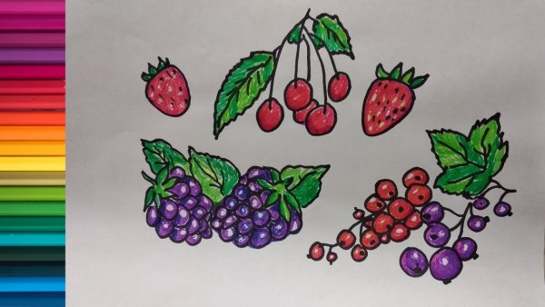 Ягодки рисование