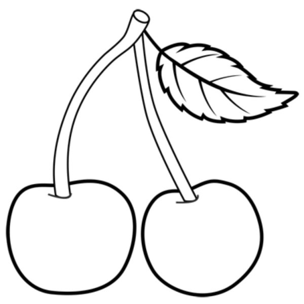 Вишня карандашом