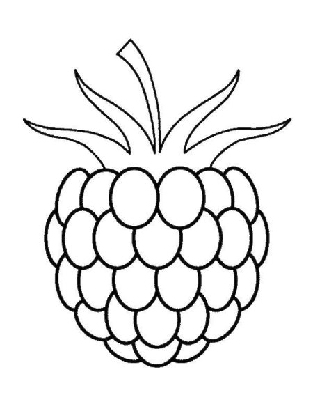 Малина раскраска