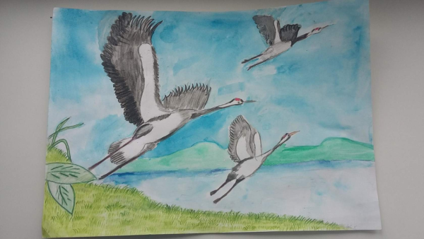 Рисунок журавля в полете карандашом