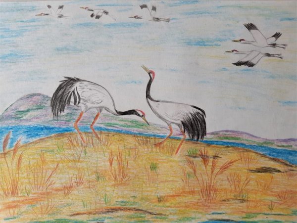 Летящий журавль рисунок