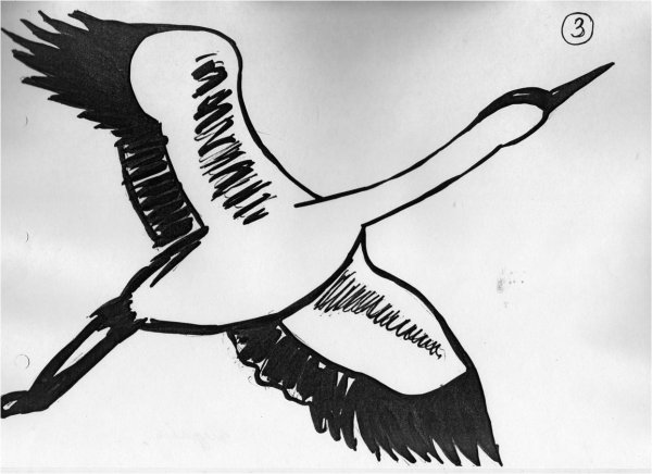 Журавль рисунок карандашом