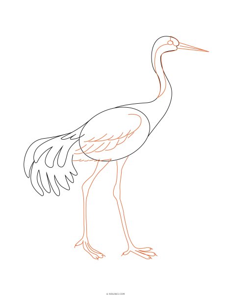 Рисование птицы в журавль подготовительная группа