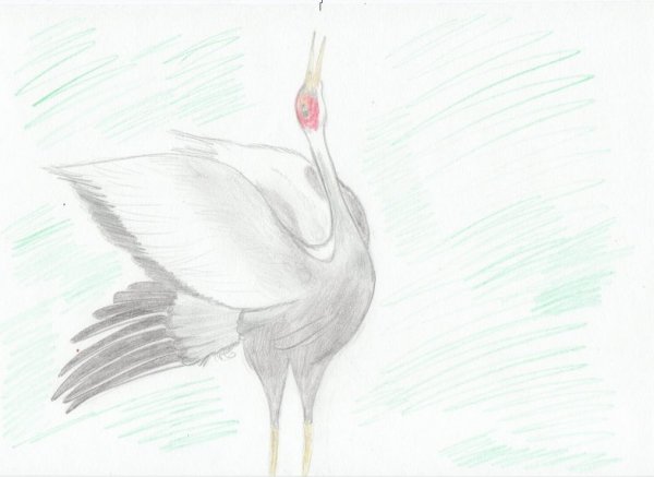 Журавль карандашом
