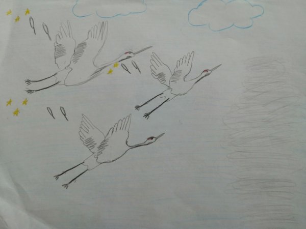 Птицы тушью