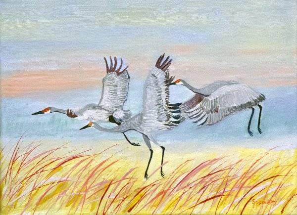 Журавль карандашом