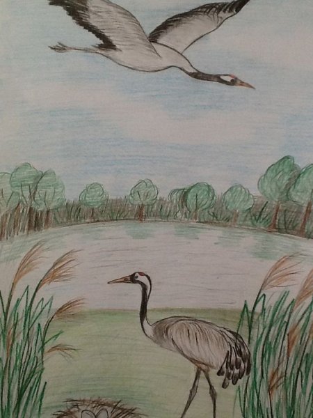 Летят Журавли