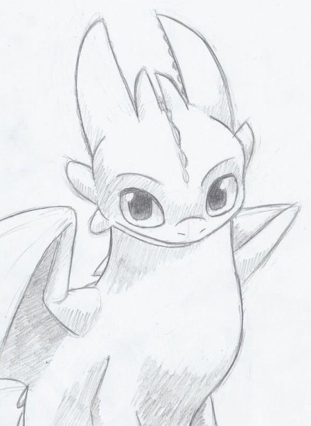 Рисунок дракона для срисовки