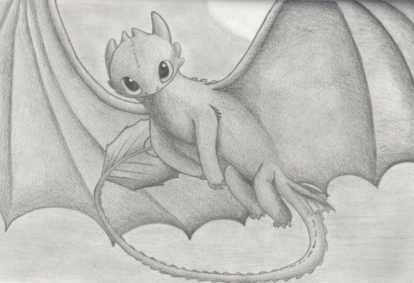 Милый дракон