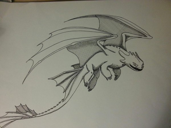 Ночная фурия дракон карандашом