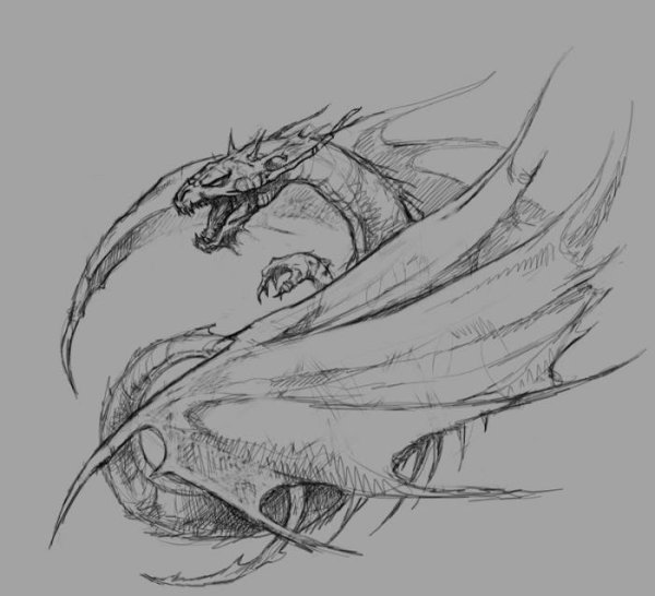 Драко рисунки карандашом