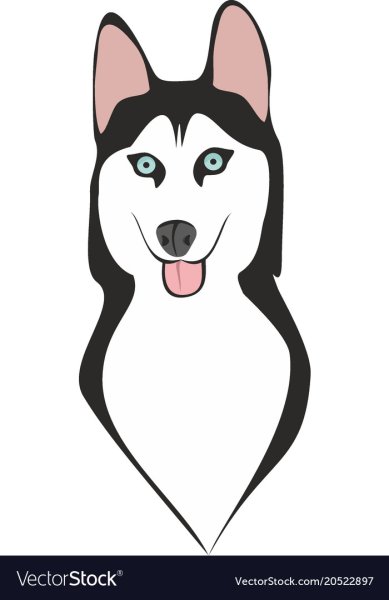 Рисунок хаски для срисовки легко