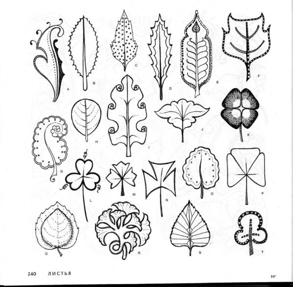 Стилизованные растительные формы