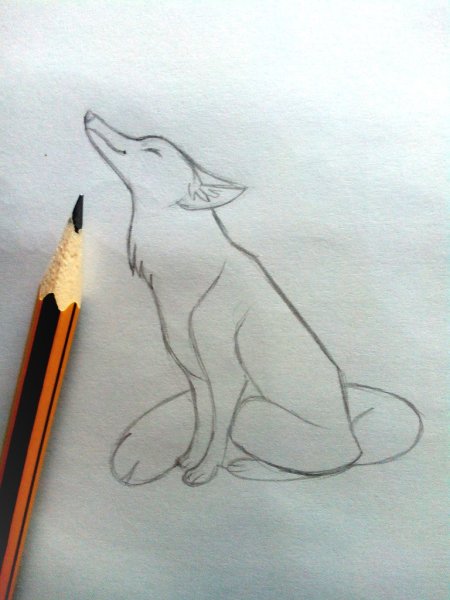 Лиса карандашом для срисовки