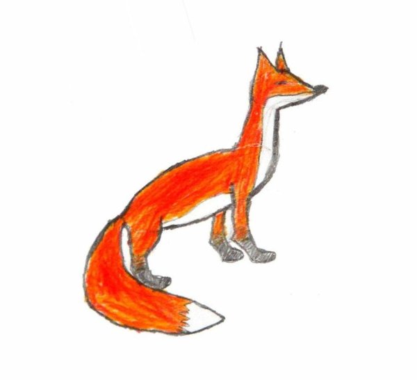 Рисование для детей лиса