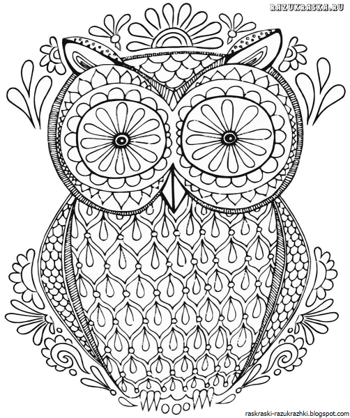 Раскраскиантистрес Совы