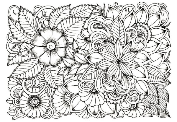 Раскраска антистресс "цветы"