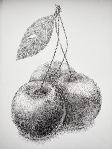 Техника пуантель тушью