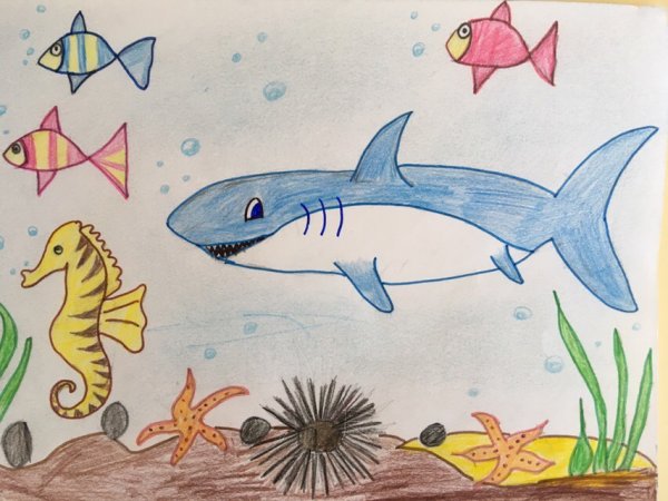 Рисование морские обитатели