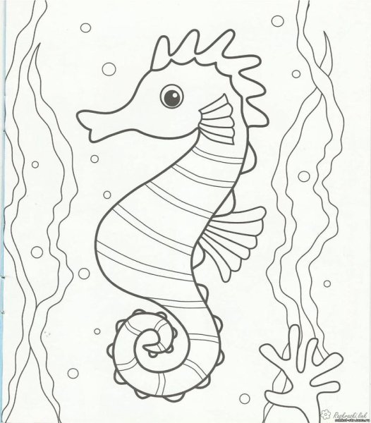 Морской конек раскраска