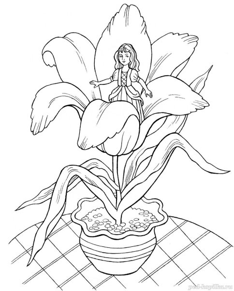 Раскраски по сказкам Андерсена Дюймовочка