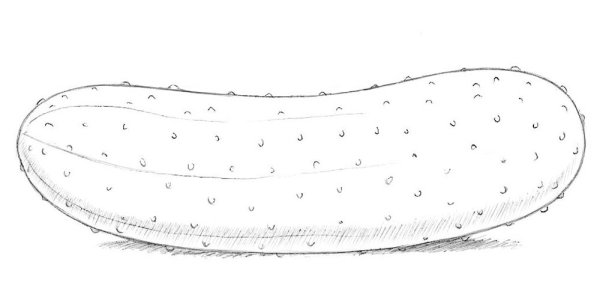 Огурец карандашом