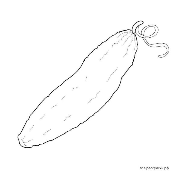 Огурец карандашом