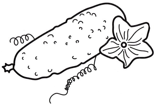 Огурец раскраска для детей