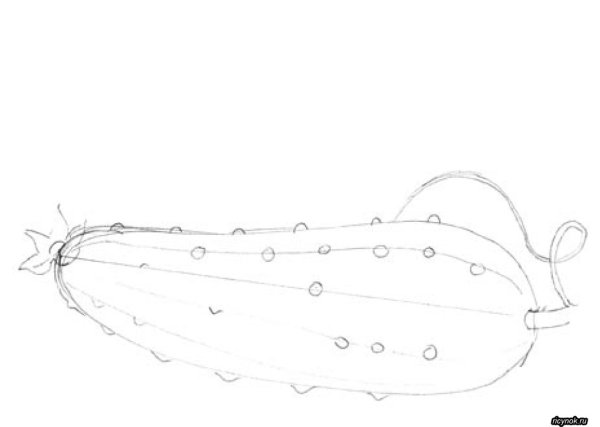 Огурец раскраска для детей