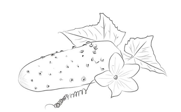 Огурец карандашом легко и просто