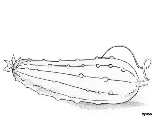 Огурец картинка раскраска