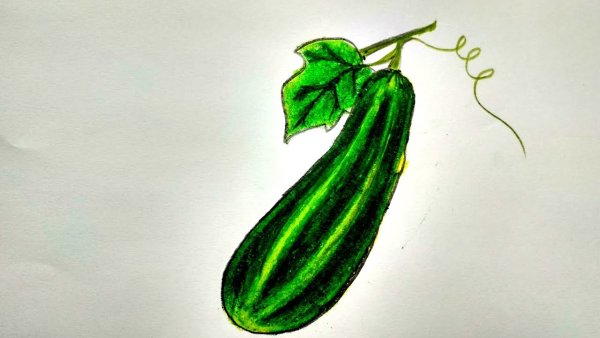 Огурец карточка контур