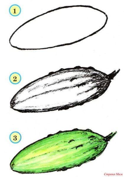 Контур огурца для раскрашивания