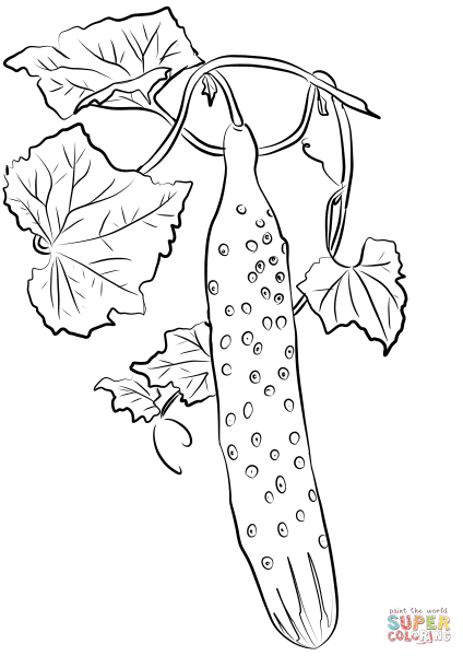 Огурец для раскрашивания детям