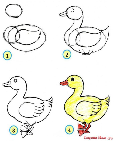 Последовательное рисование для детей