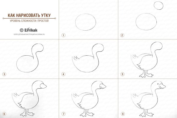 Рисунки легкие красивые уточка