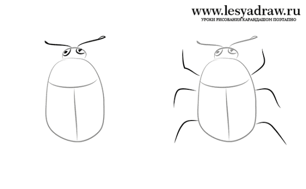 Жук рисунок пошагово