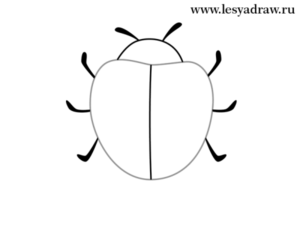 Божья коровка шаблон для рисования