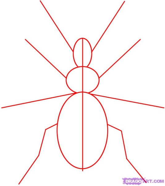 Поэтапное рисование жука для детей