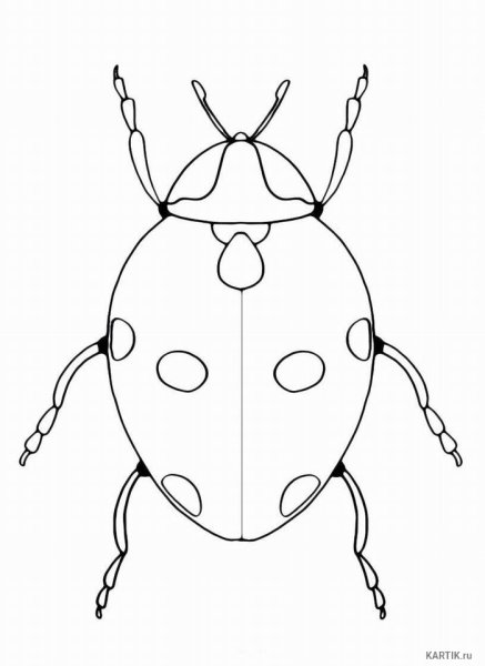 Трафарет Божьей коровки для рисования