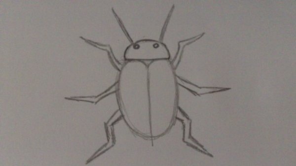Нарисовать жука поэтапно