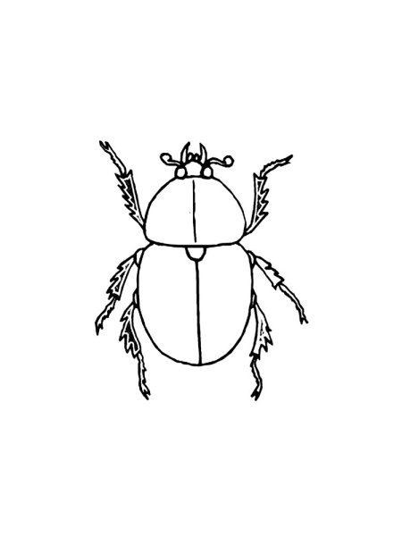 Жуки насекомые раскраски и задания для детей