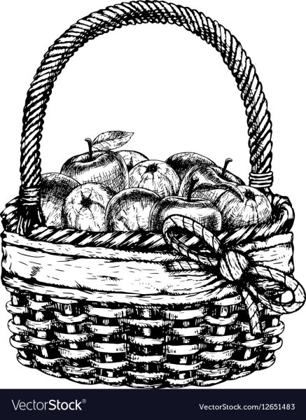 Поэтапное рисование корзины