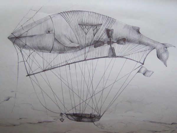 Графические зарисовки кита