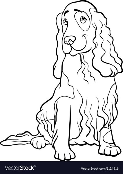 Кокер спаниель зарисовки