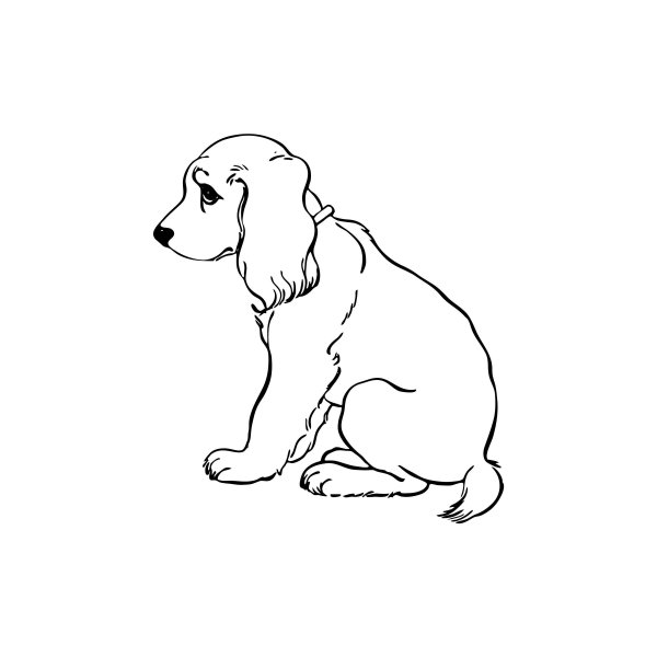 Рисунок спаниеля для срисовки