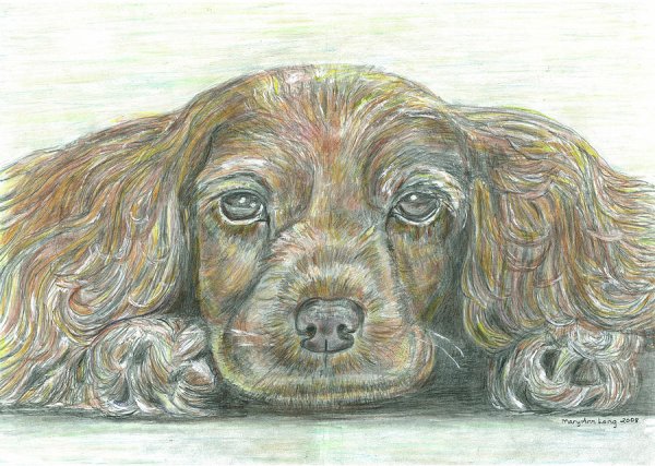 Мультяшный кокер спаниель