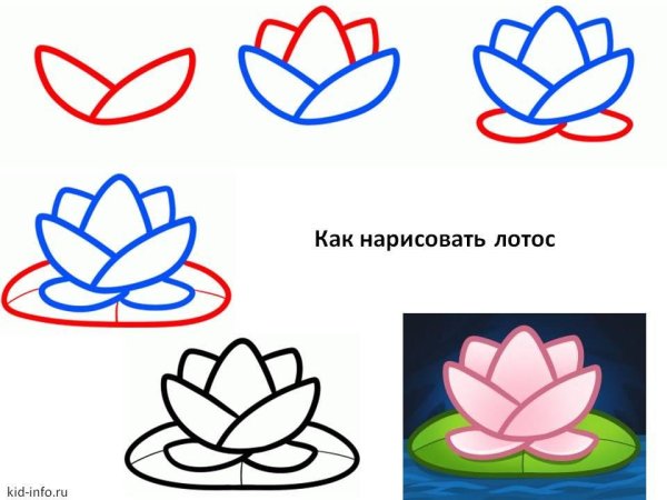 Цветы рисунок поэтапно