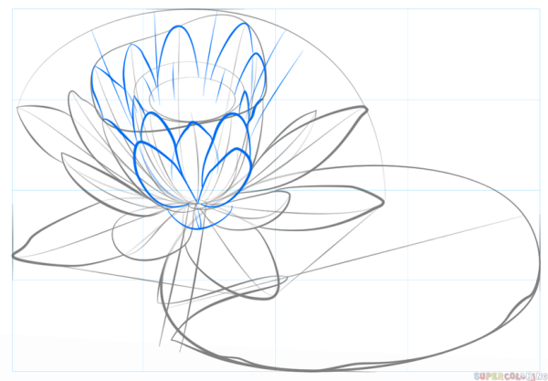 Кувшинка карандашом