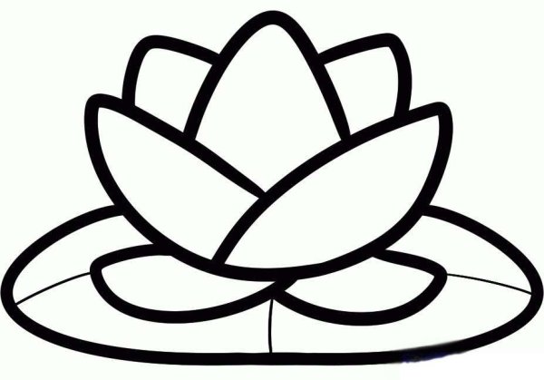 Лотос раскраска